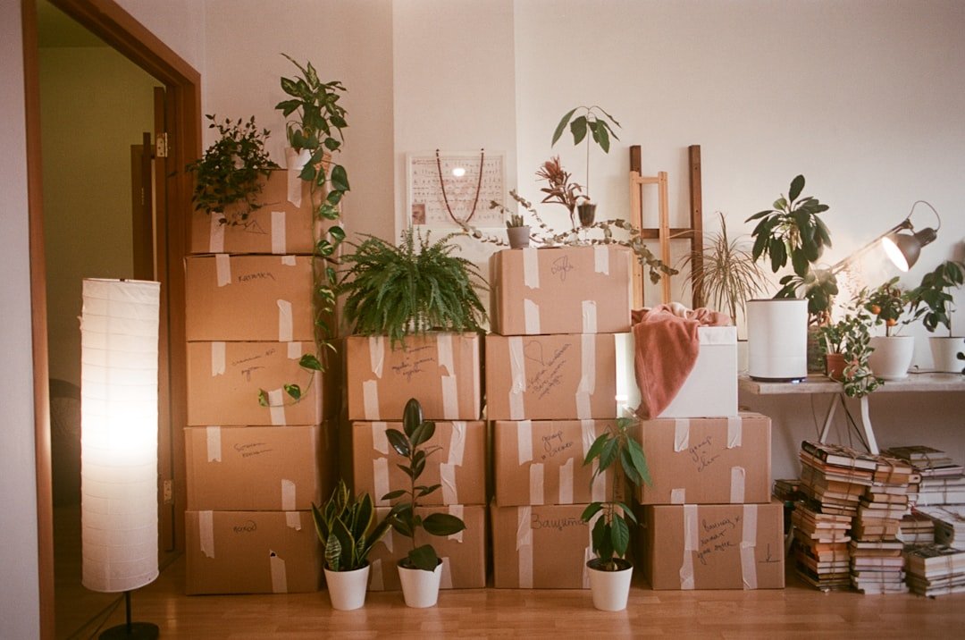 How to pack a kitchen for moving